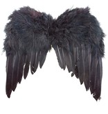 Vleugels met zwarte veren (33x34cm)