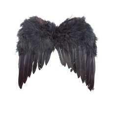 Vleugels met zwarte veren (33x34cm)
