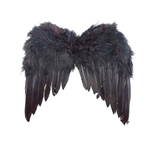 Vleugels met zwarte veren (33x34cm)