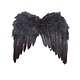 Vleugels met zwarte veren (33x34cm)