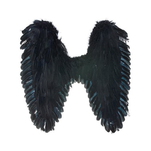 Vleugels Zwart Darkness (70x65cm)