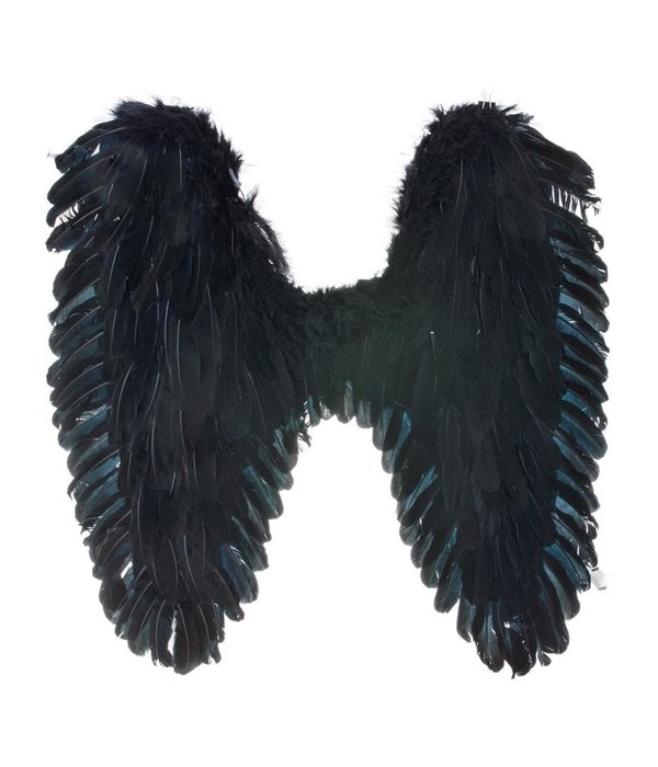 Vleugels Zwart Darkness (70x65cm)