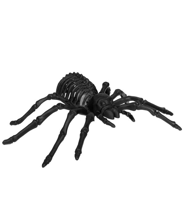 Spin Decoratie Met LED Licht