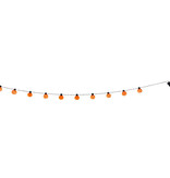 Lichtslinger met 10 Pompoentjes