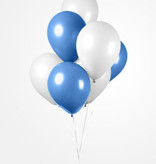 Ballonnen Set Blauw/Wit