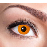 Partylenzen Pompoen 1 Week