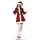 Klassiek Kerstvrouw Jurkje Claus