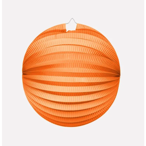Bollampion Oranje (25cm)