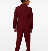 Maatpak Chic Jongen Burgundy Opposuits