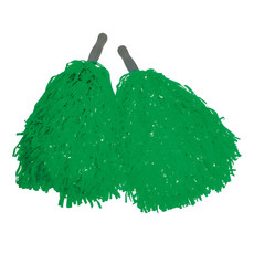 Pom Pom Groen Stick (2st)