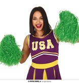 Pom Pom Groen Stick (2st)