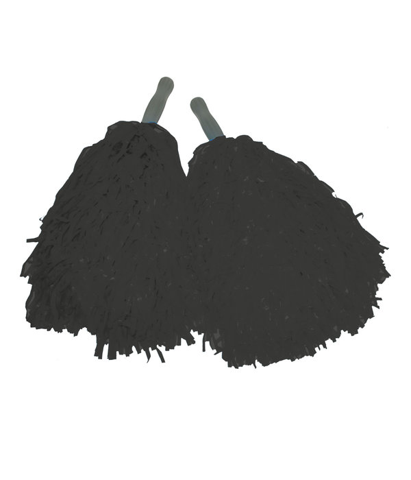 Pom Pom Zwart Stick (2st)