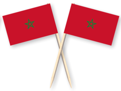Vlaggenprikkers Marokko (50st)