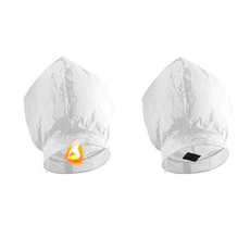 Wensballon Wit (80cm)