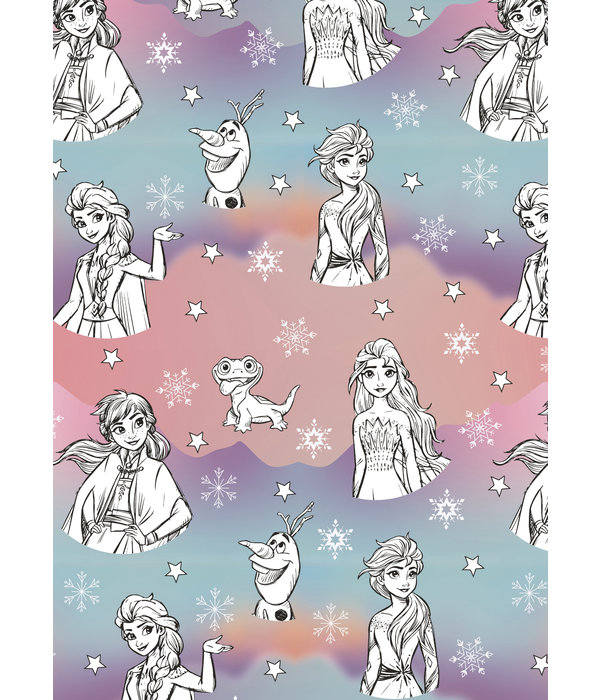 Rol Cadeaupapier Frozen getekend