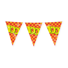 Happy Verjaardag Vlaggenlijn 100 Jaar (10m)