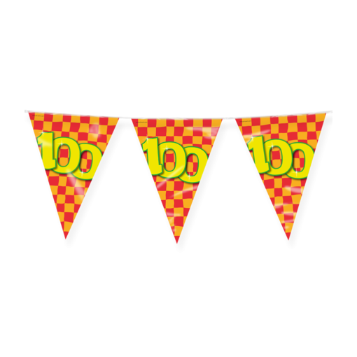 Happy Verjaardag Vlaggenlijn 100 Jaar (10m)