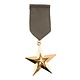Medaille Ster Militaire leger
