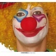 Clownsneus rood schuim