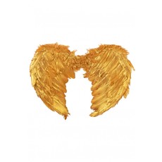 Engelen Vleugels Veren Goud Volwassene