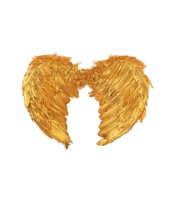 Engelen Vleugels Veren Goud Volwassene