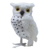 Witte Uil Decoratie
