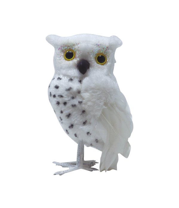 Witte Uil Decoratie