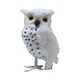 Witte Uil Decoratie