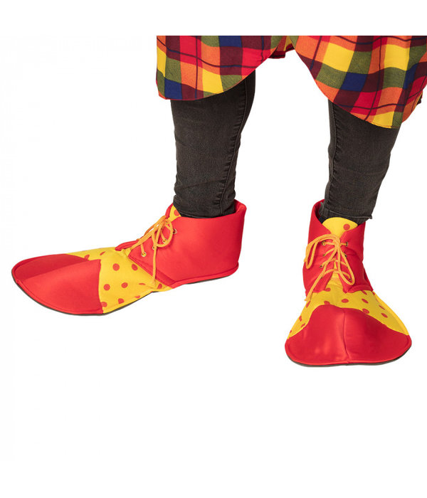 Clownsschoenen Bassie