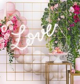 Love Neon Wit LED Verlichting (61cm)