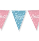 Vlaggenlijn Gender Reveal Boy or Girl (10m)