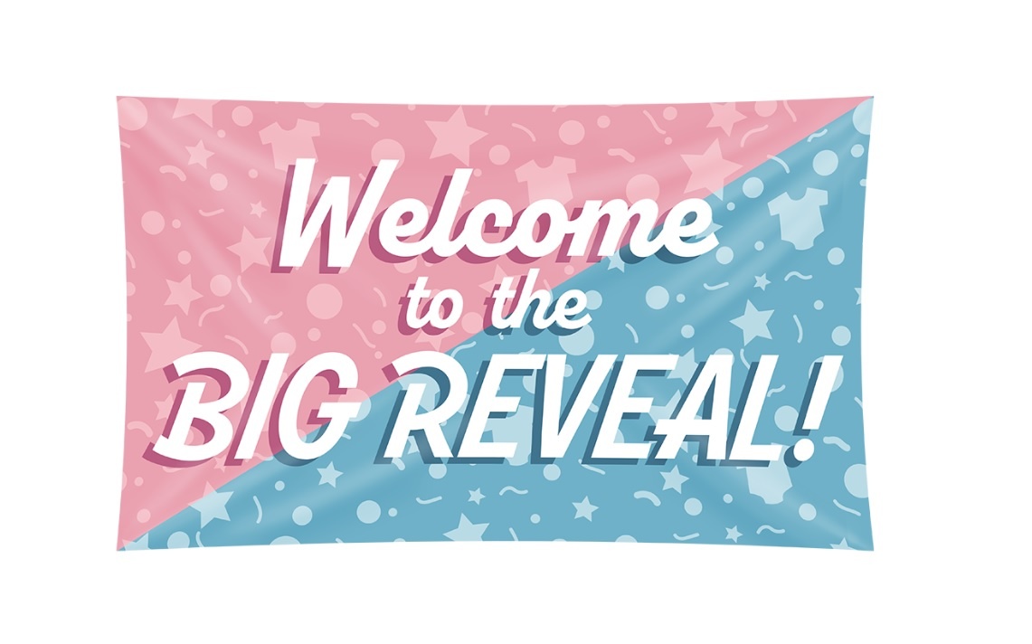 Gevelvlag &apos;Welcome&apos; Gender Reveal (150x90cm) afbeelding