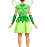 Groene Feeën Kostuum Vlinder