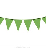 Neon groene vlaggenlijn (3m)