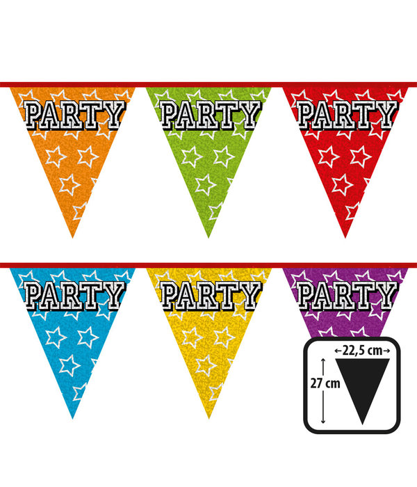 Holografische Vlaggelijn 'Party' (8m)