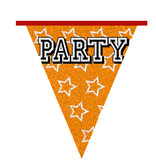 Holografische Vlaggelijn 'Party' (8m)