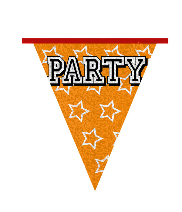 Holografische Vlaggelijn 'Party' (8m)