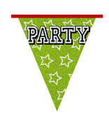 Holografische Vlaggelijn 'Party' (8m)