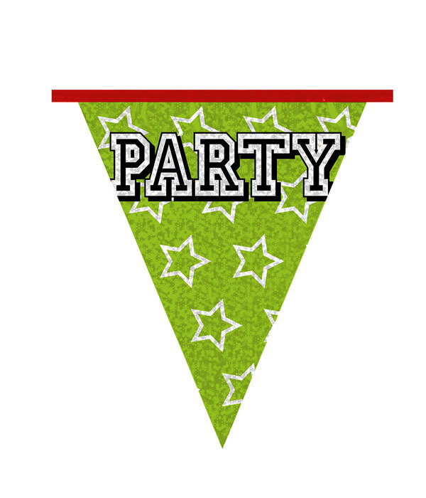 Holografische Vlaggelijn 'Party' (8m)