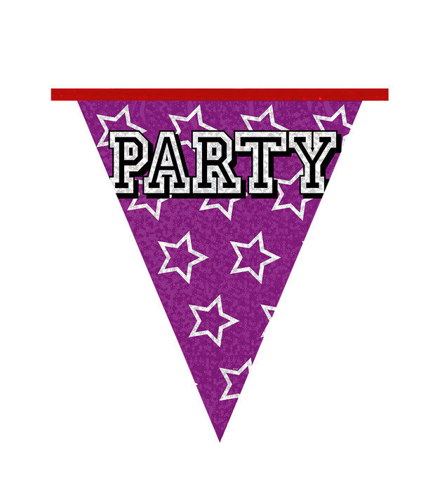 Holografische Vlaggelijn 'Party' (8m)
