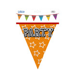 Holografische Vlaggelijn 'Party' (8m)