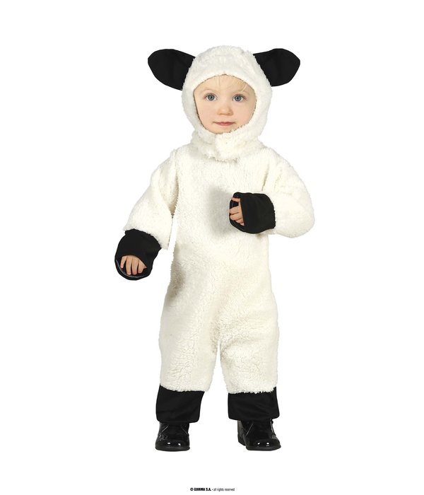 Baby Schapen Pakje