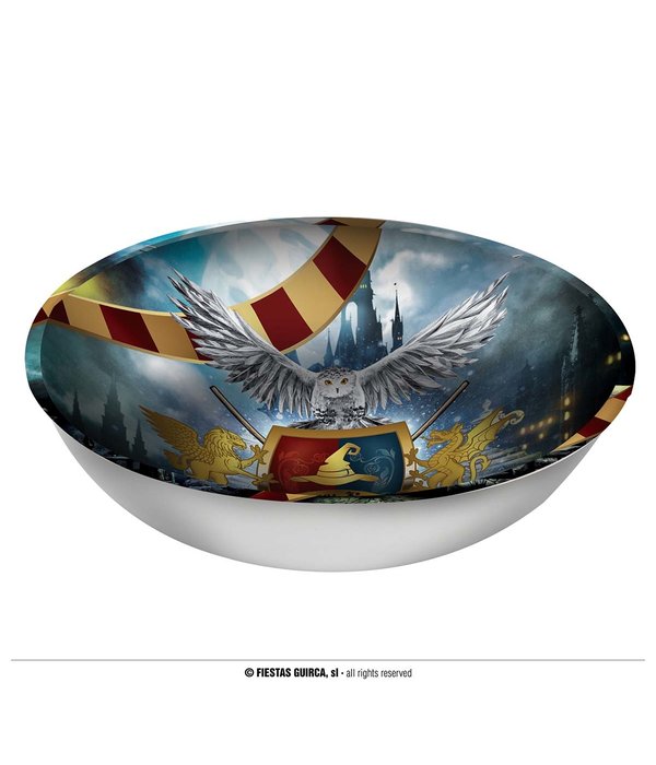 Harry Potter Magical School Schaal (27cm)