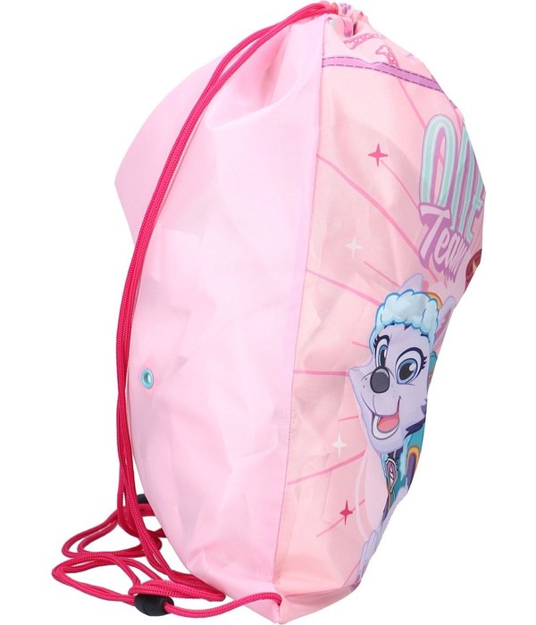 Paw Patrol Gymtas Skye/Everest Roze