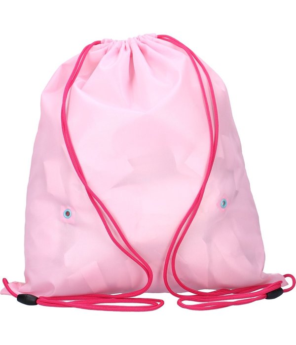 Paw Patrol Gymtas Skye/Everest Roze