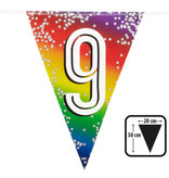 Vlaggenlijn Cijfer 9 Regenboog Met Sterren (6m)