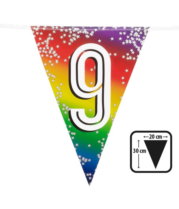 Vlaggenlijn Cijfer 9 Regenboog Met Sterren (6m)