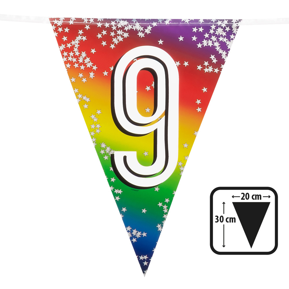 Vlaggenlijn Cijfer 9 Regenboog Met Sterren (6m) afbeelding