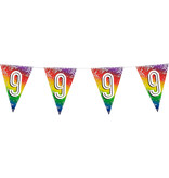 Vlaggenlijn Cijfer 9 Regenboog Met Sterren (6m)