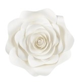 Backdrop ‘Bloemen mix’ Light Cream